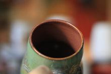 Load image into Gallery viewer, 12-D Desert Spring Curvy Mug, 22 oz.