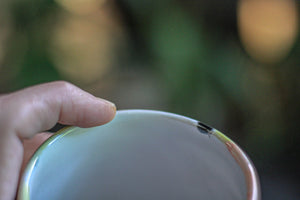 01-B Desert Rainbow Gourd Mug, 24 oz.