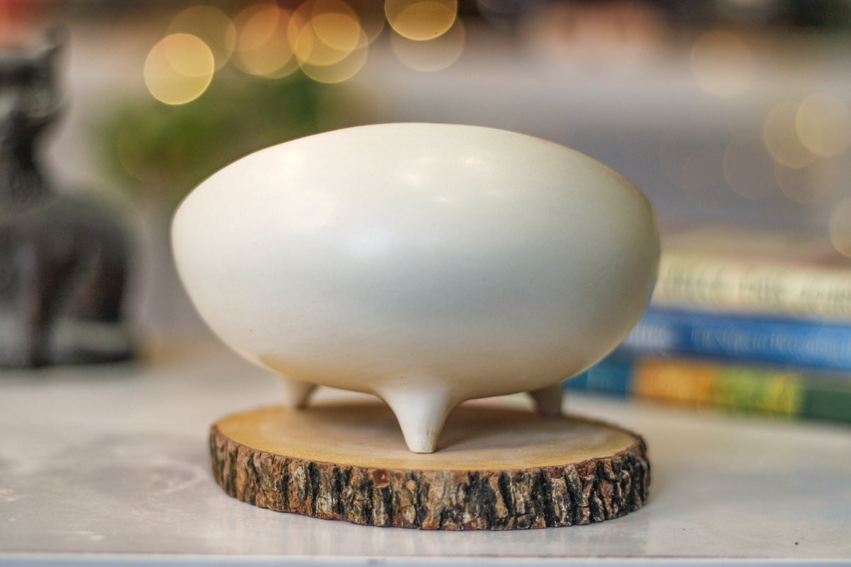 26-D PROTOTYPE Sanctuary Vessel - MISFIT, 15% off