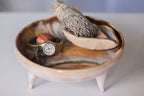 09-E Soft Earth Series EXPERIMENT Sanctuary Vessel