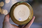 01-D EXPERIMENT Gourd Cup, 12 oz.