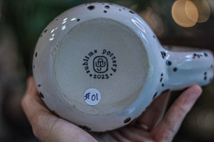 01-B Desert Rainbow Gourd Mug - MINOR MISFIT, 25 oz. - 10% off