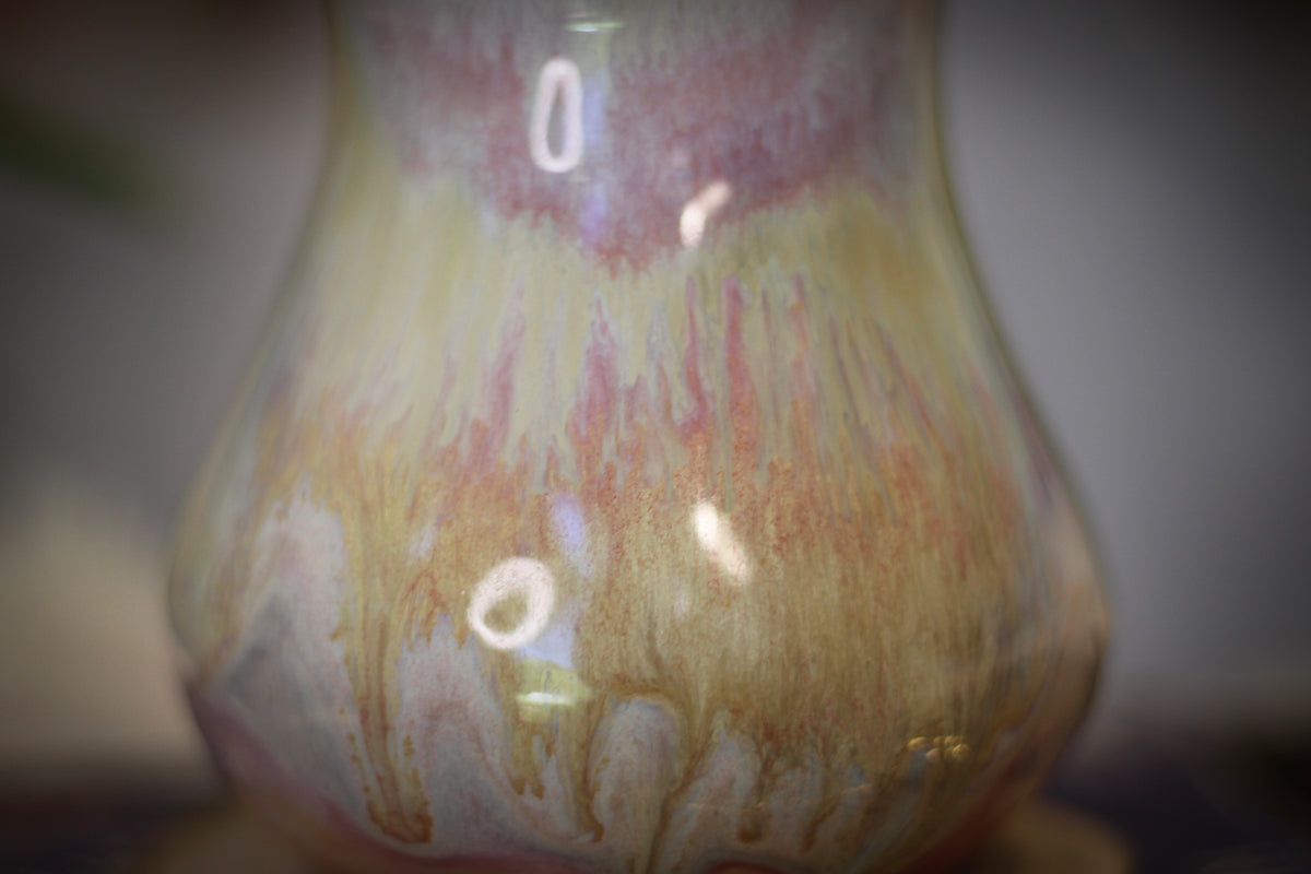 11-D Soft Earth Series EXPERIMENT Gourd Mug, 19 oz.