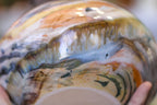 11-A Soft Earth Series PROTOTYPE Bowl - TOP SHELF, 28 oz.