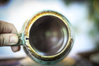 01-D Mossy Wave Notched Acorn Gourd Mug, 19 oz.