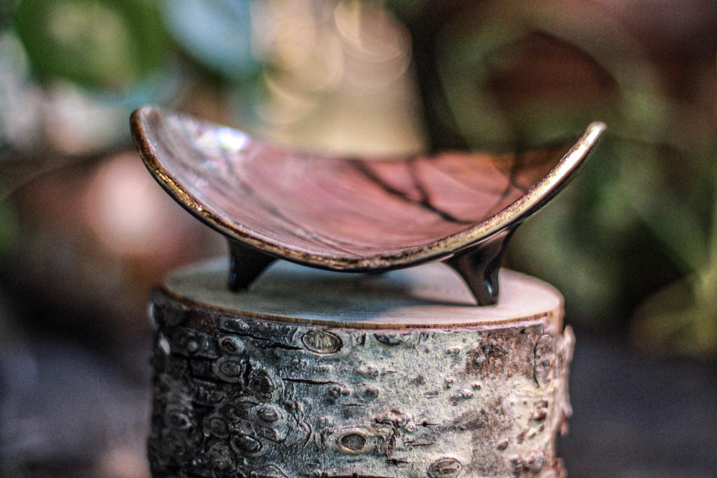 02-EXP EXPERIMENT Sanctuary Dish
