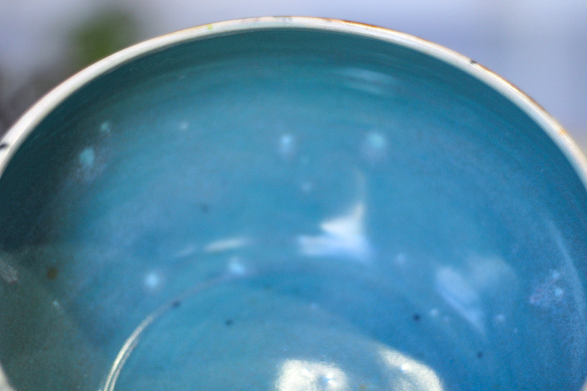 11-A Soft Earth Series PROTOTYPE Bowl - TOP SHELF, 28 oz.