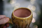 12-D EXPERIMENT Gourd Mug, 19 oz.