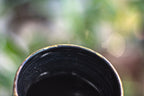 11-A Labradorite PROTOTYPE Gourd Mug - MISFIT, 25 oz. - 35% off