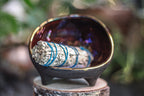 12-D PROTOTYPE Sanctuary Vessel