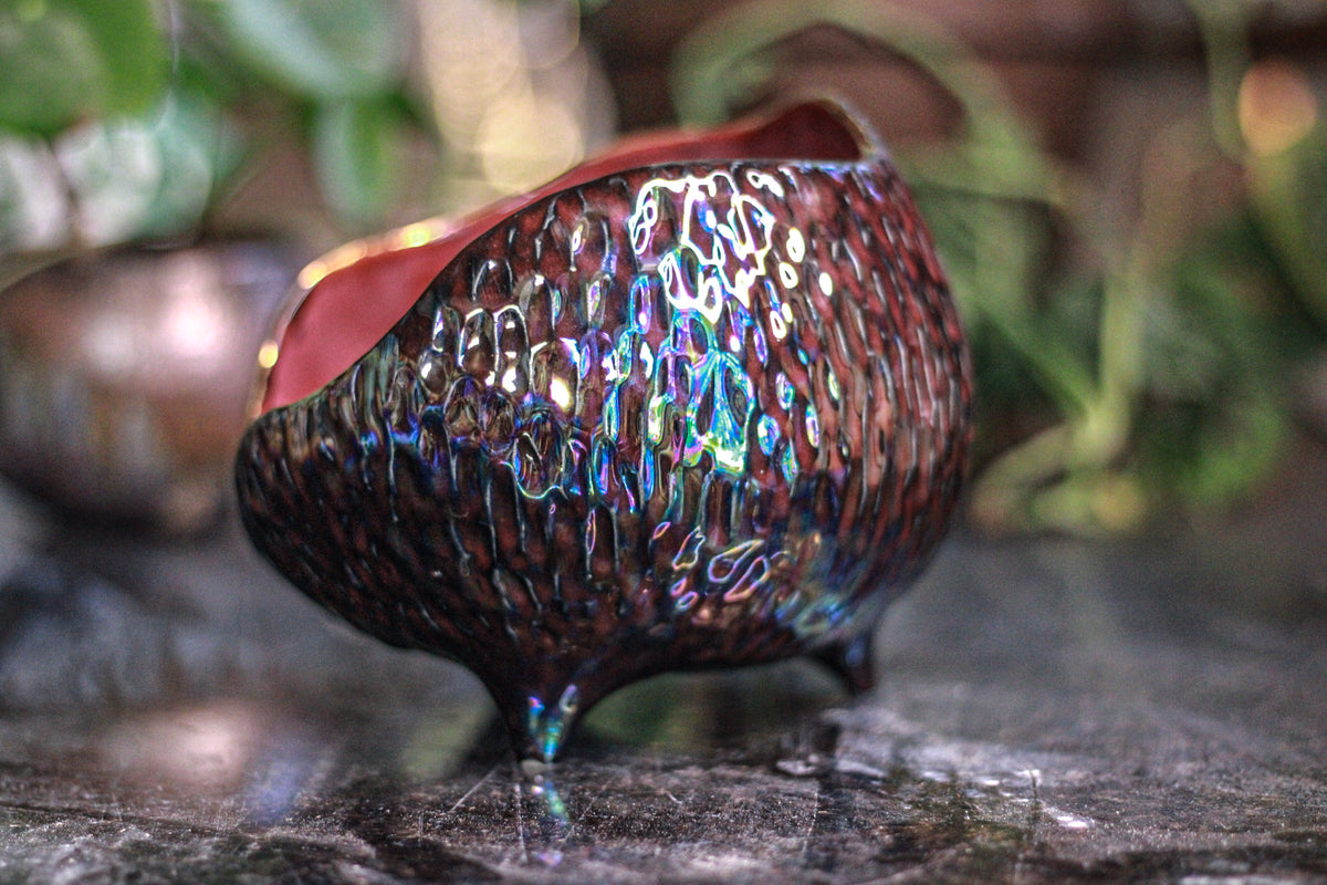 DRAWING WINNER: 13-A PROTOTYPE Sanctuary Vessel