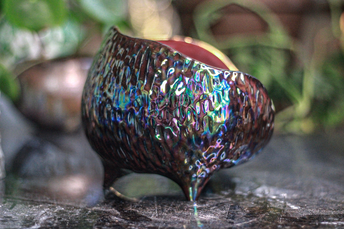 DRAWING WINNER: 13-A PROTOTYPE Sanctuary Vessel