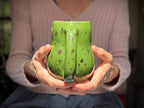 17-E Melon PROTOTYPE Mid Mod Mug, 21 oz.