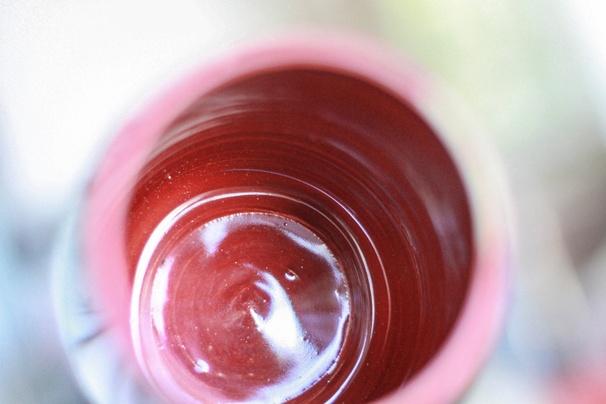 14-F EXPERIMENT Mug, 17 oz.