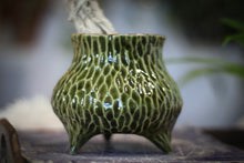 Load image into Gallery viewer, 32-D Evergreen Textured Cauldron, 14 oz.