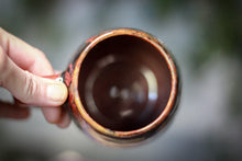 Load image into Gallery viewer, 17-F EXPERIMENT Mug, 17 oz.