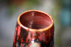 17-F EXPERIMENT Mug, 17 oz.
