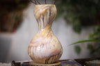10-B Soft Earth Series PROTOTYPE Gourd Vase