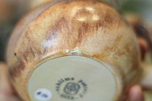 16-B EXPERIMENT Acorn Gourd Mug - MISFIT, 22 oz. - 30% off