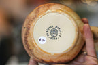 16-B EXPERIMENT Acorn Gourd Mug - MISFIT, 22 oz. - 30% off