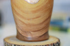 17-E EXPERIMENT Cup, 15 oz.
