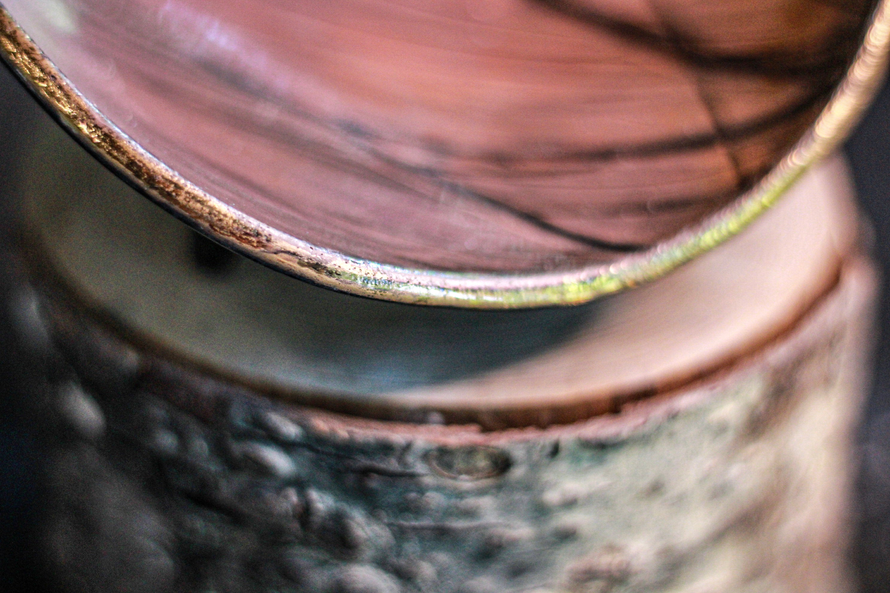02-EXP EXPERIMENT Sanctuary Dish