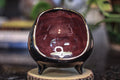 20-D PROTOTYPE Sanctuary Vessel