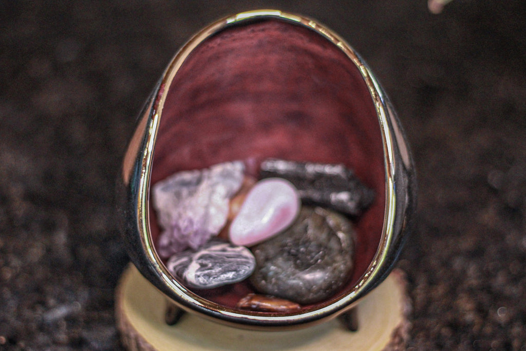 20-D PROTOTYPE Sanctuary Vessel
