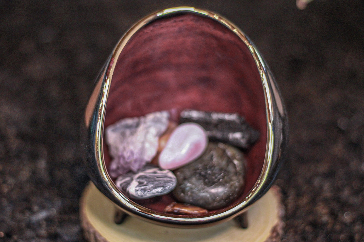 20-D PROTOTYPE Sanctuary Vessel