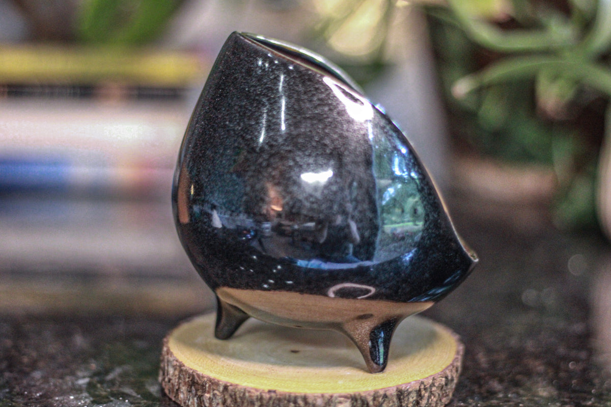 20-D PROTOTYPE Sanctuary Vessel