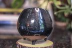 20-D PROTOTYPE Sanctuary Vessel