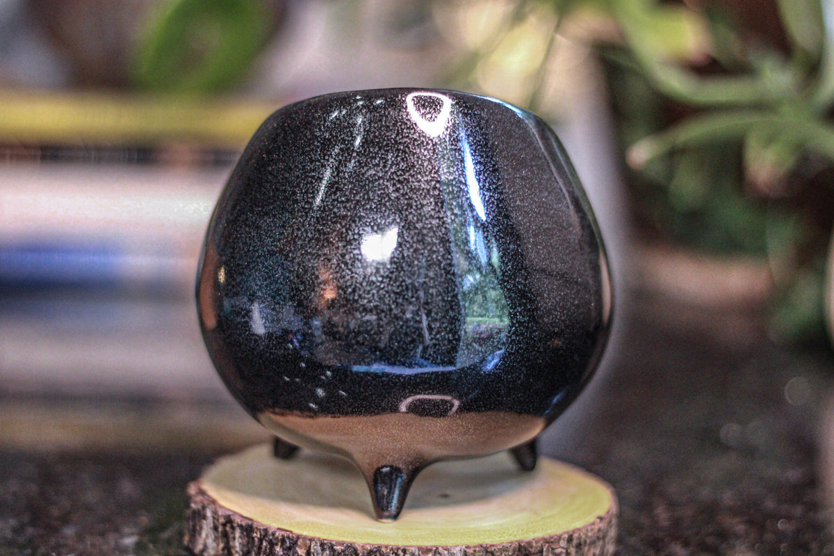 20-D PROTOTYPE Sanctuary Vessel