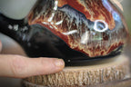 22-D Scarlet Grotto Acorn Gourd Mug - TOP SHELF, 19 oz.