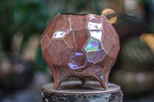 03-E PROTOTYPE Crystal Planter