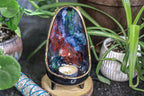 24-A Rainbow Stellar Candle Stand - MISFIT - 20% off