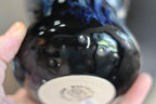 24-G EXPERIMENT Gourd Cup, 13 oz.