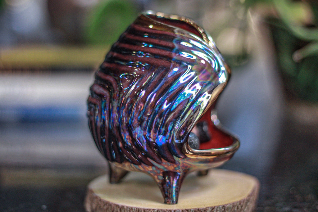 DRAWING WINNER: 21-A PROTOTYPE Sanctuary Vessel