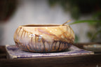 11-B Soft Earth Series PROTOTYPE Bowl - MISFIT, 30 oz. - 10% off
