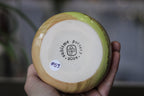 25-C Soft Earth Series PROTOTYPE Divot Gourd Cup, 20 oz.