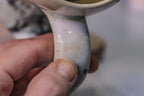 03-C EXPERIMENT Acorn Gourd Mug - MINOR MISFIT, 22 oz. - 10% off