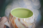 06-B Soft Earth Series Gourd Mug - TOP SHELF MISFIT, 18 oz.