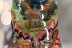 04-A Green Mountain Midnight Variation Textured Divot Cup, 17 oz - TOP SHELF