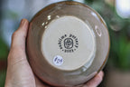 04-D EXPERIMENT Pitcher, 22 oz.