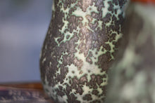 Load image into Gallery viewer, 05-F Lunestone Mug, 20 oz. (This listing is for one mug)