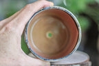 05-H EXPERIMENT Planter
