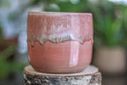 06-G EXPERIMENT Cup - 16 oz.