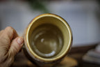 06-C Soft Earth Series Gourd Mug, 20 oz.
