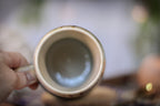 07-B EXPERIMENT Acorn Gourd Mug, 21 oz.