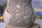08-C EXPERIMENT Acorn Gourd Mug, 19 oz.