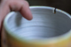 01-A Desert Rainbow Notched Gourd Mug - TOP SHELF, 26 oz.